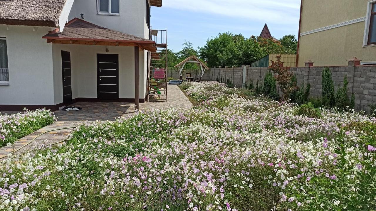 切尔诺莫斯克 Eco House酒店 外观 照片